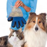 Glove for grooming cats and dogs