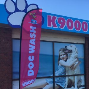 perfect outdoor solution for drawing attention to your K9000 dog wash