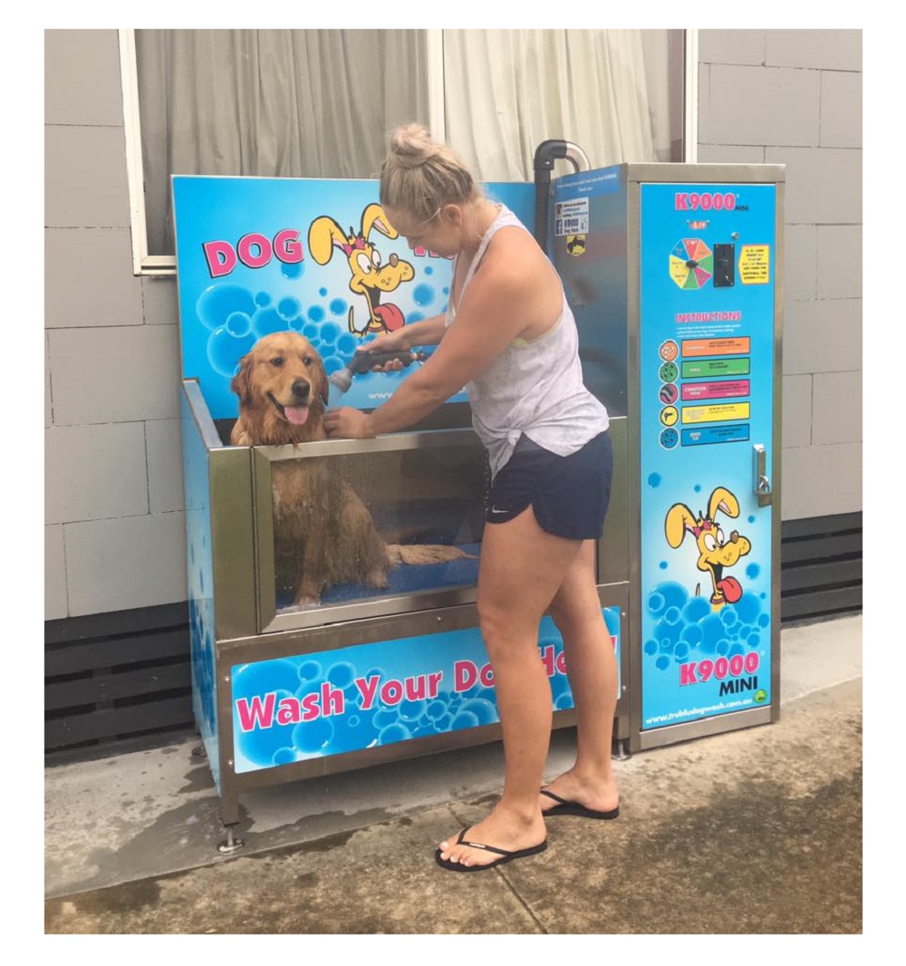 Dog being washed in self serve dog wash