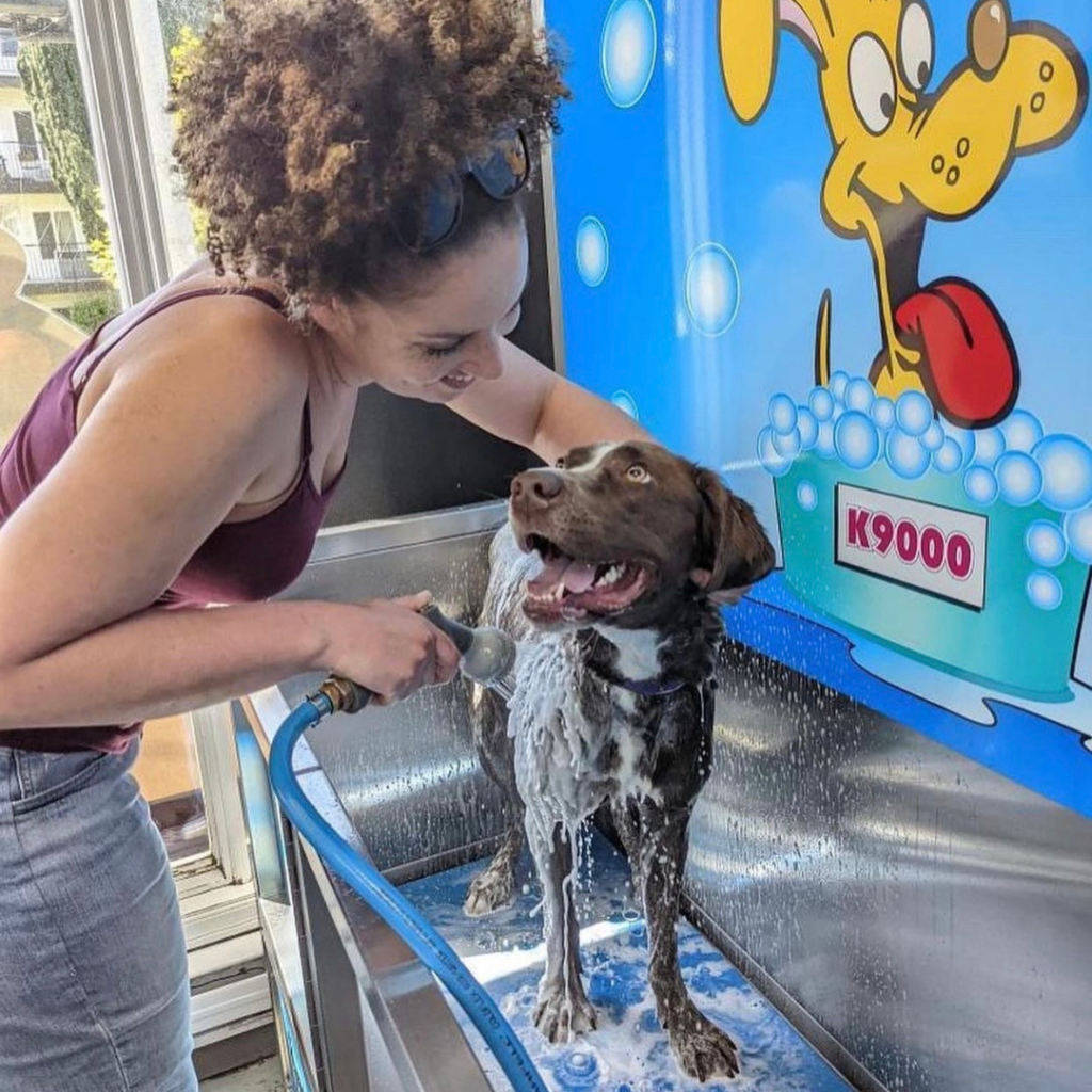 Happy Dog being washed