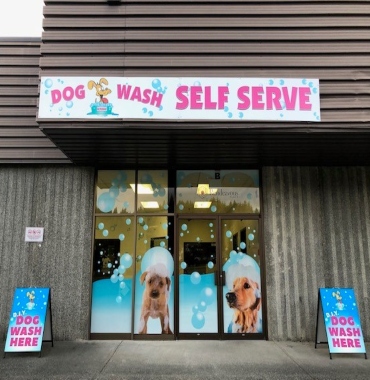 Wash your dog in Port Hardy