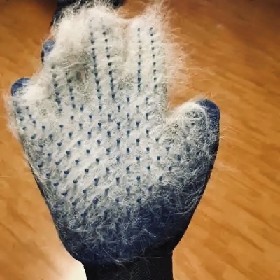 Hairy pet glove