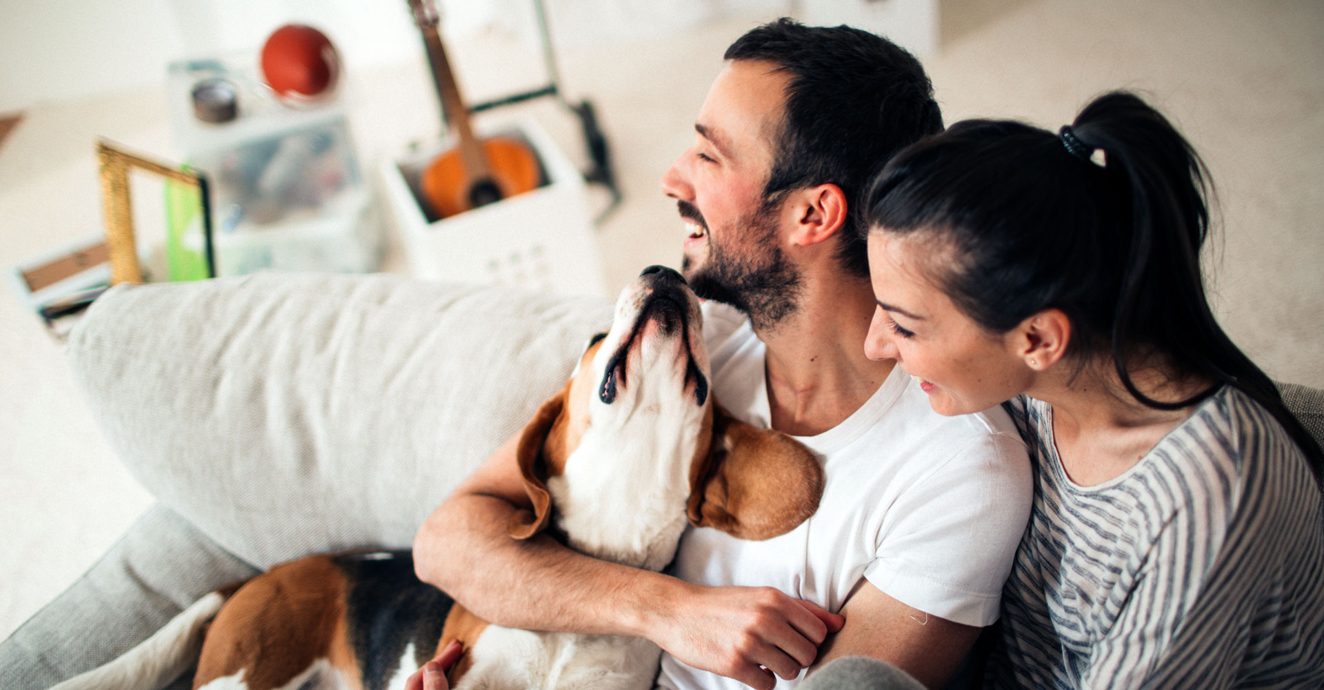 Furever Clean home page banner