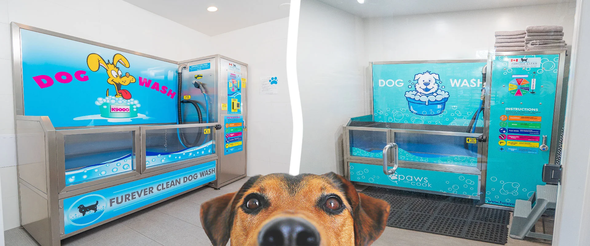 K9000 standard dog wash