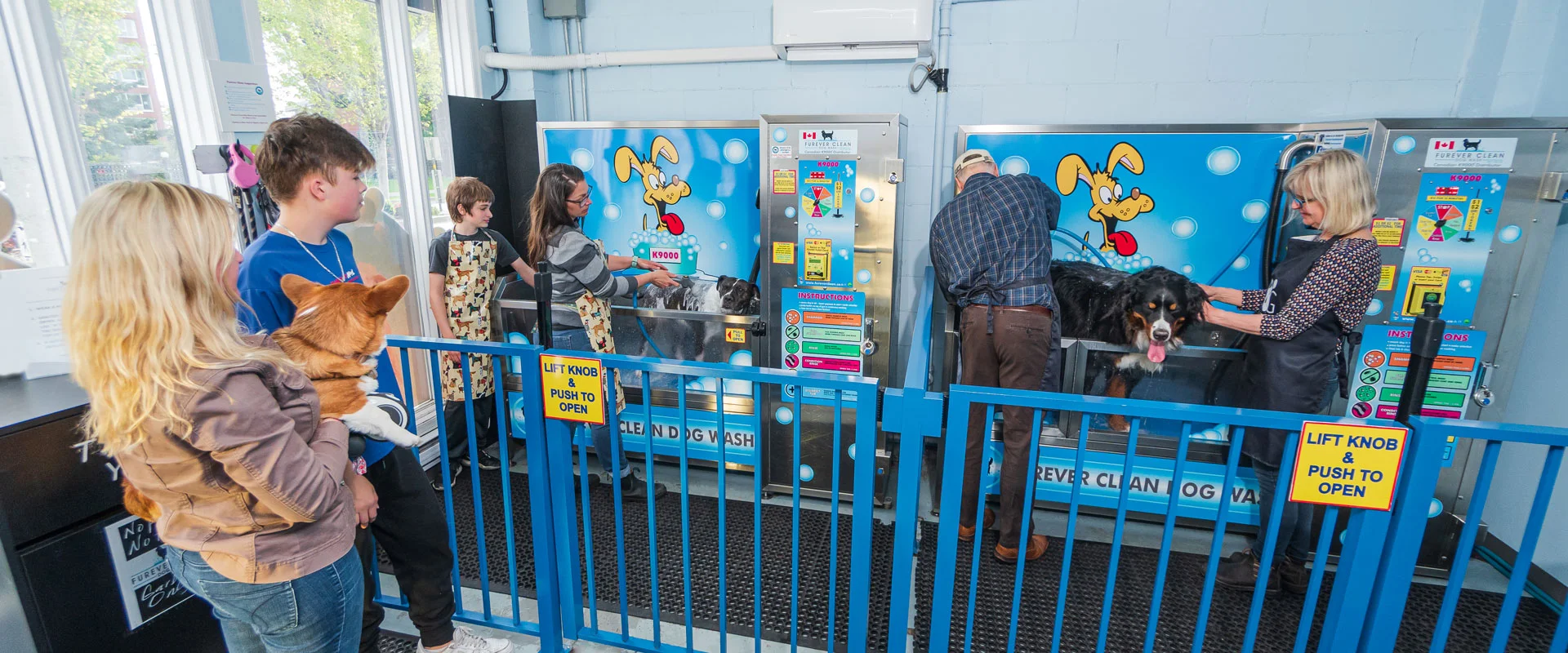 Dog wash store